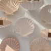 Classic Seashell Jewelry Tray