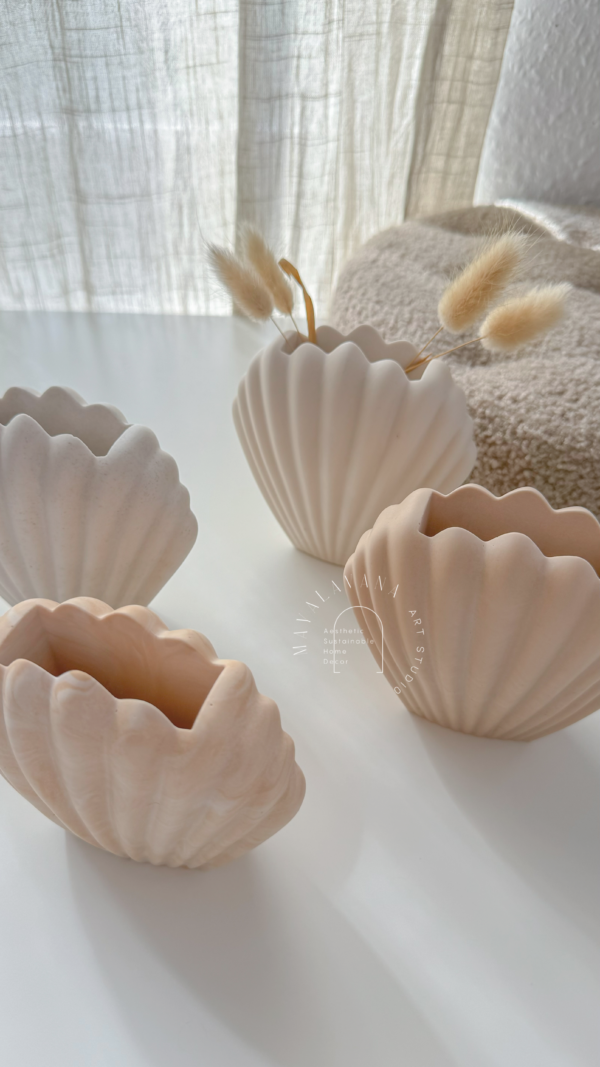 Seashell Vase