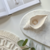 Small Seashell Jewelry Tray