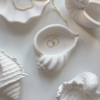 Minimalist Seashell Decorative Bowl